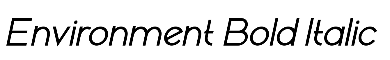 Environment Bold Italic